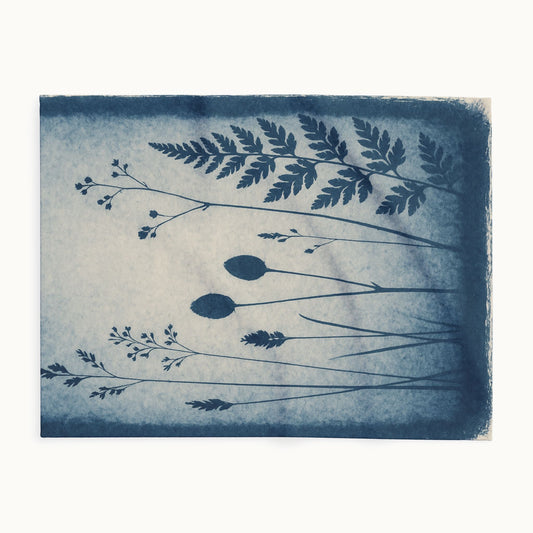 Arctic Fleece Blanket