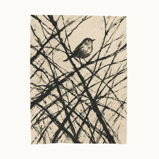 Velveteen Plush Blanket