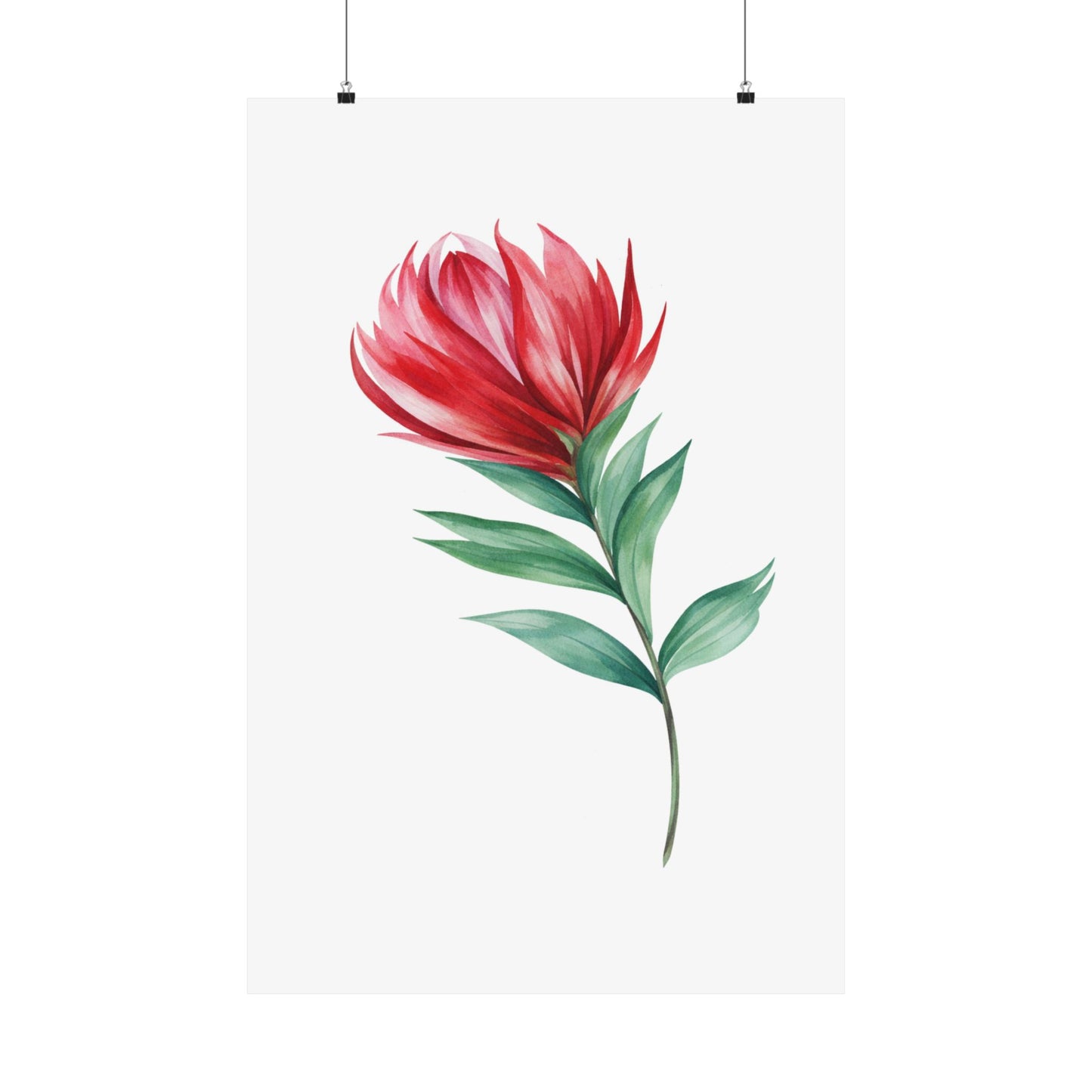 Crimson Protea Art Poster