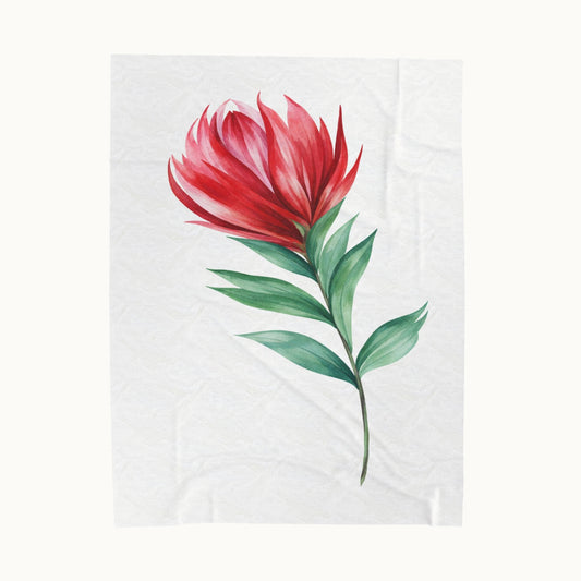 Velveteen Plush Blanket