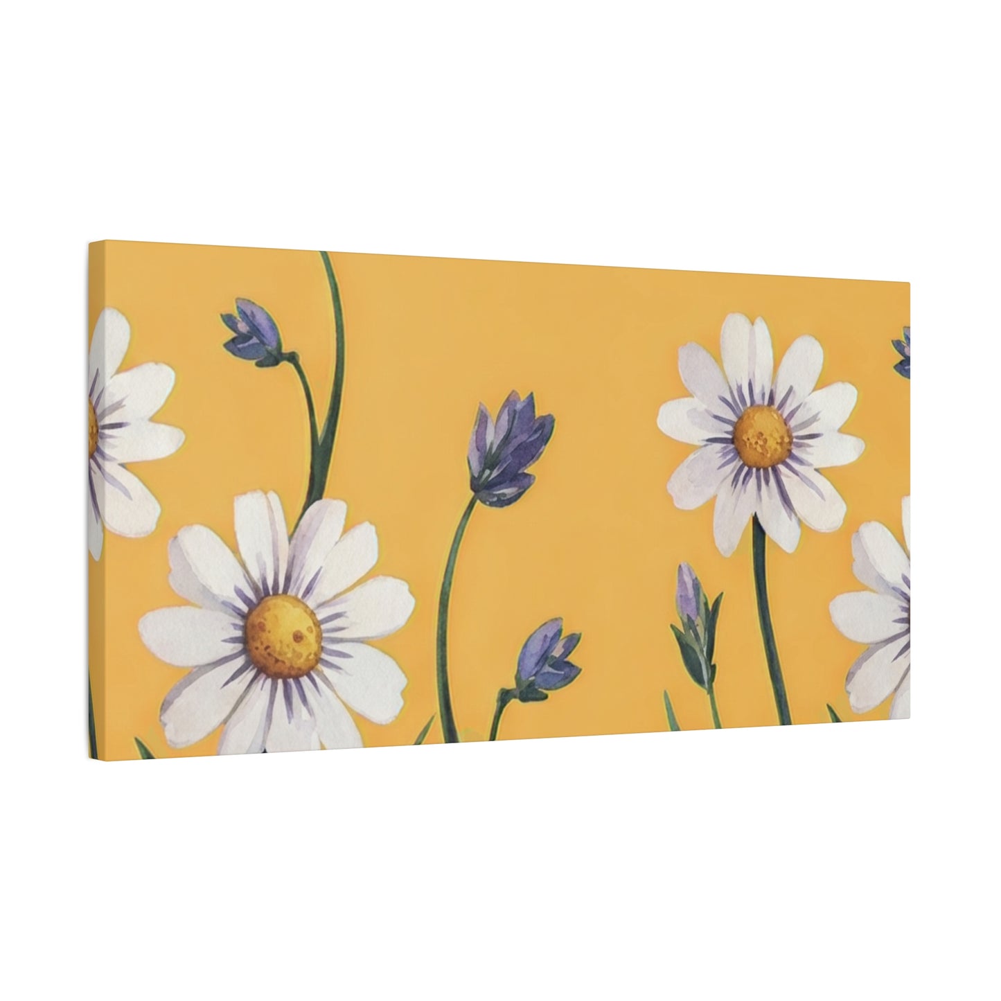 Spring Daisies Stretched Canvas Wall Art