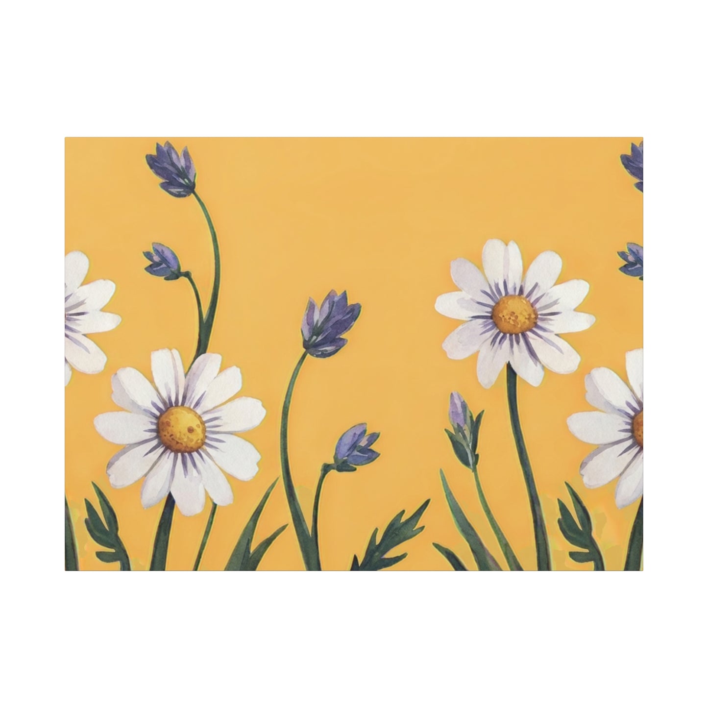 Spring Daisies Stretched Canvas Wall Art
