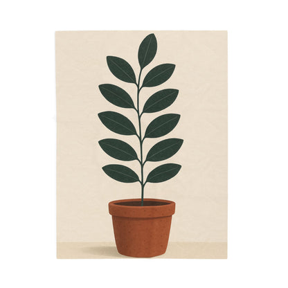 Velveteen Plush Blanket