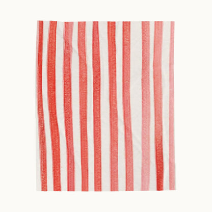 Velveteen Plush Blanket