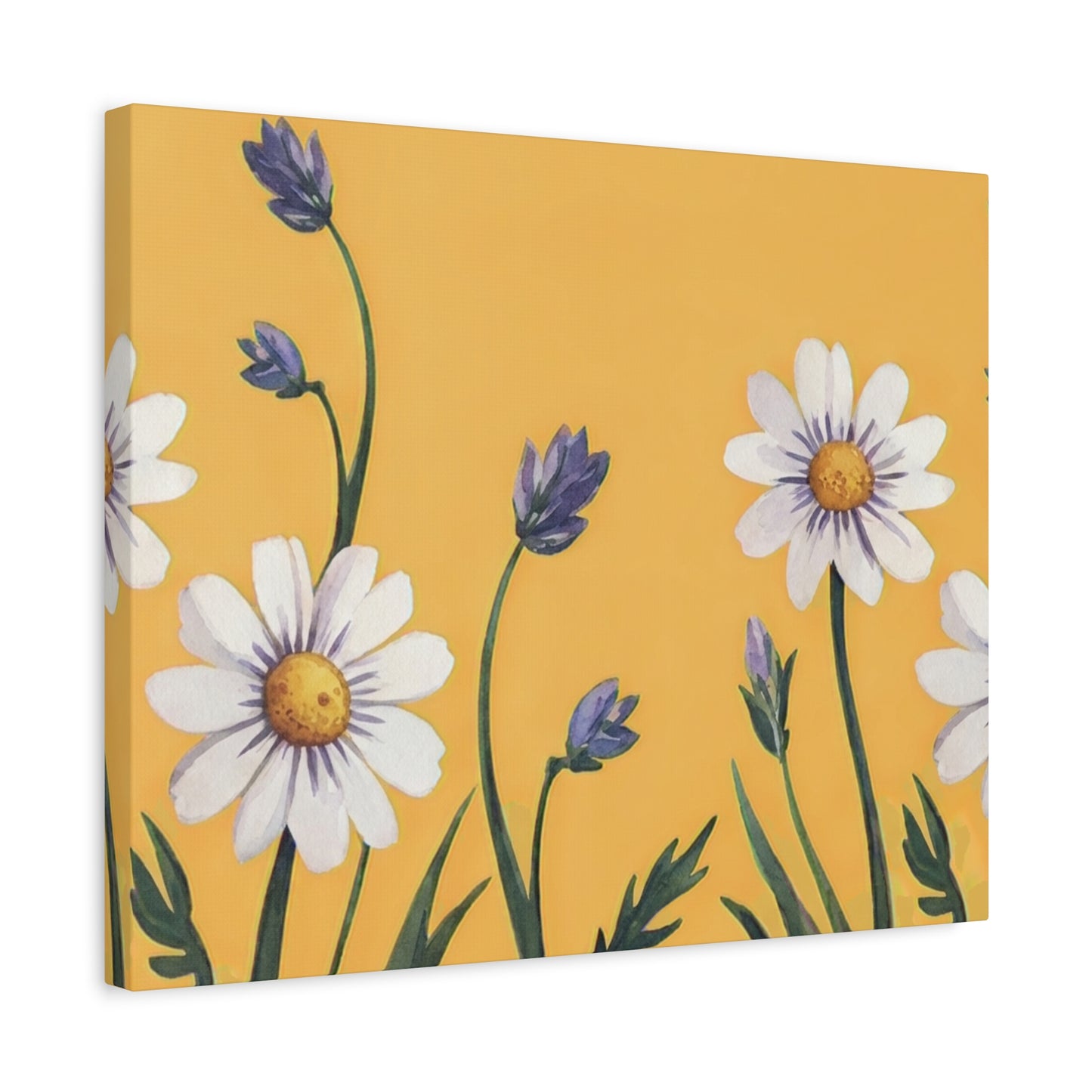 Spring Daisies Stretched Canvas Wall Art