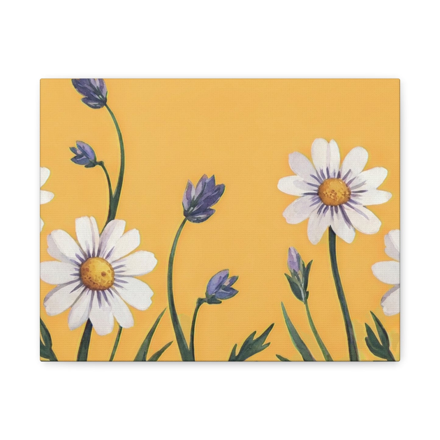 Spring Daisies Stretched Canvas Wall Art