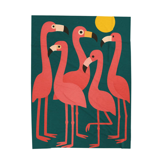 Velveteen Plush Blanket