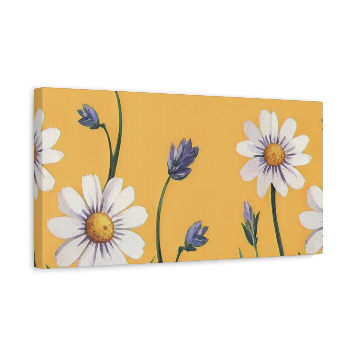 Spring Daisies Stretched Canvas Wall Art