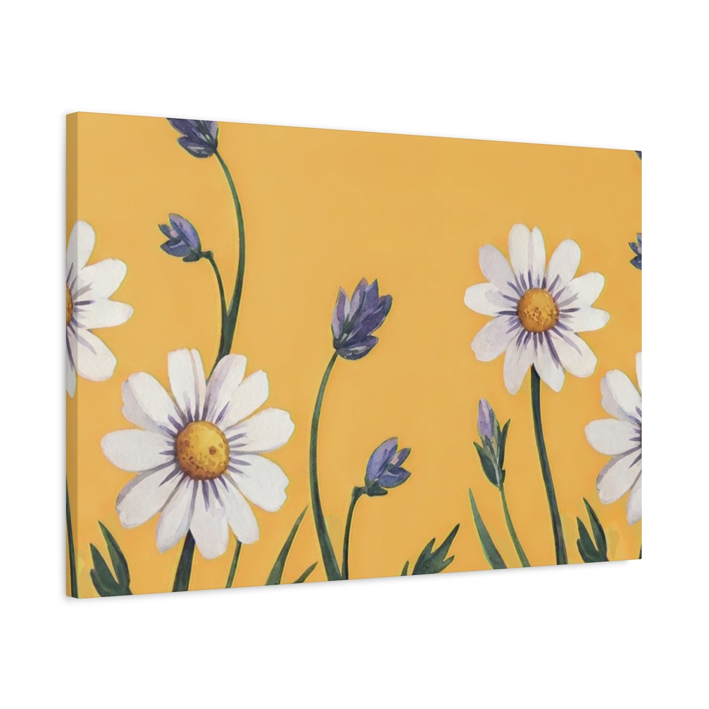 Spring Daisies Stretched Canvas Wall Art