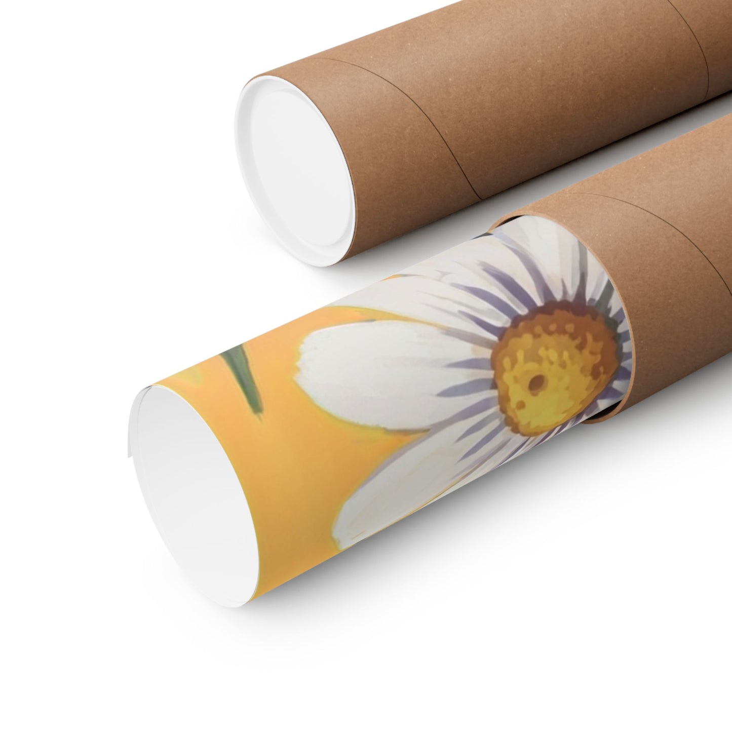Spring Daisies Art Poster