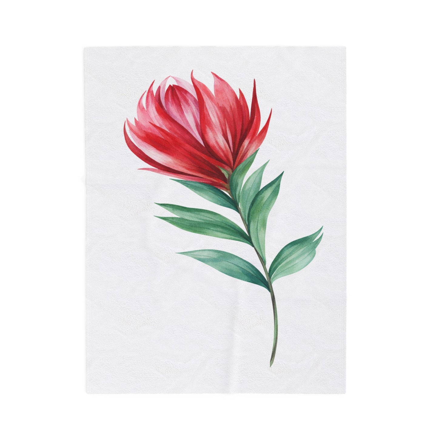 Velveteen Plush Blanket