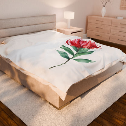 Velveteen Plush Blanket