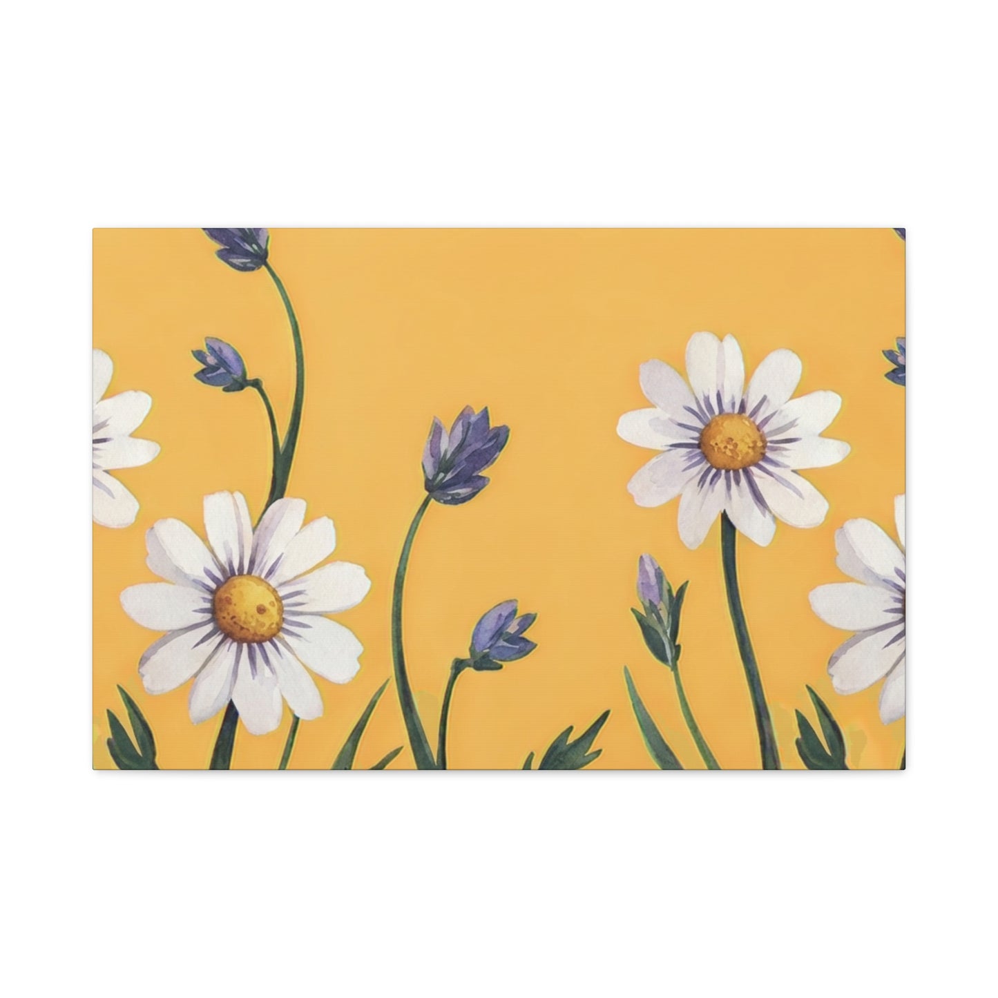 Spring Daisies Stretched Canvas Wall Art