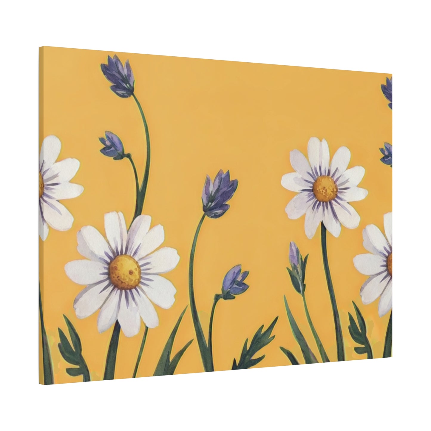 Spring Daisies Stretched Canvas Wall Art