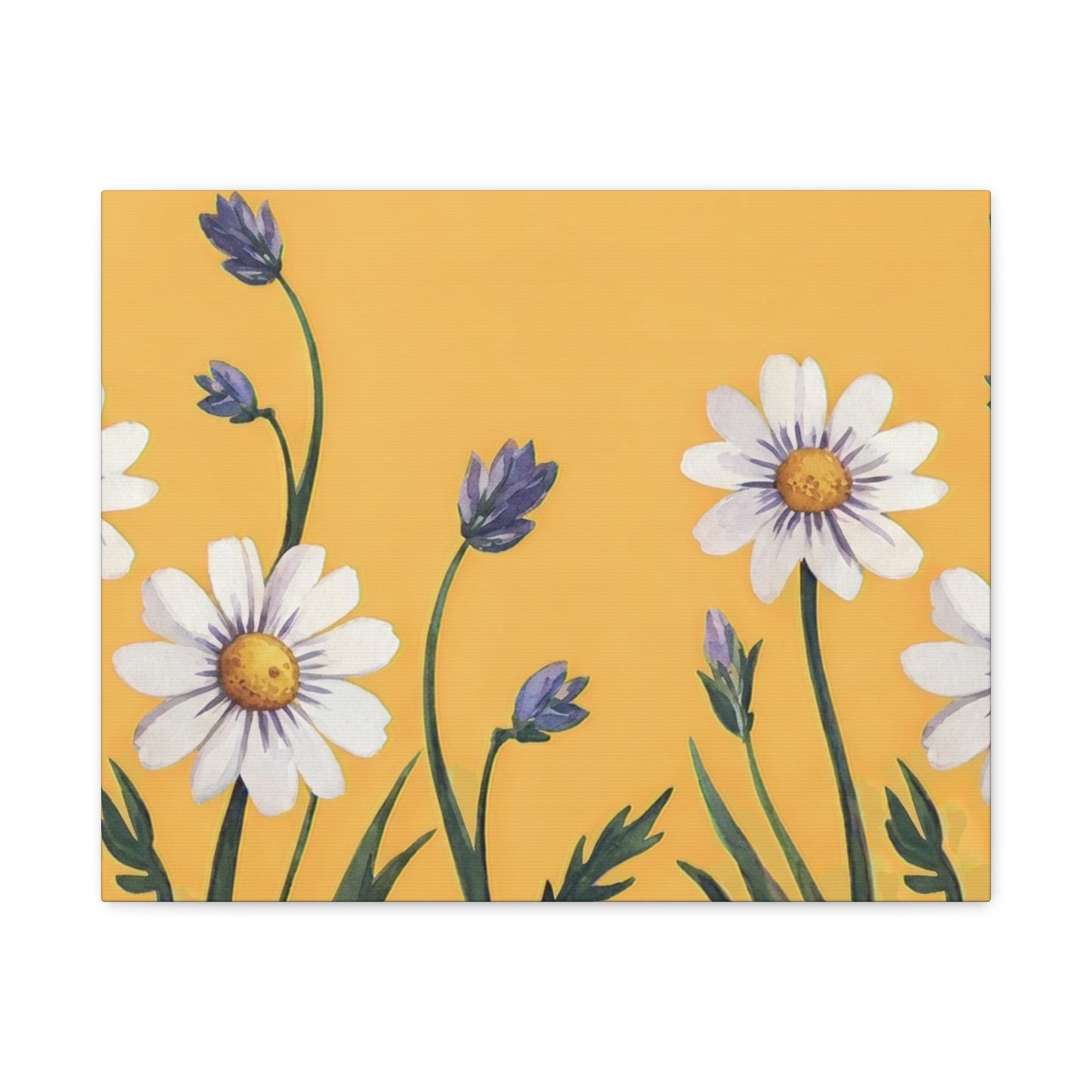 Spring Daisies Stretched Canvas Wall Art