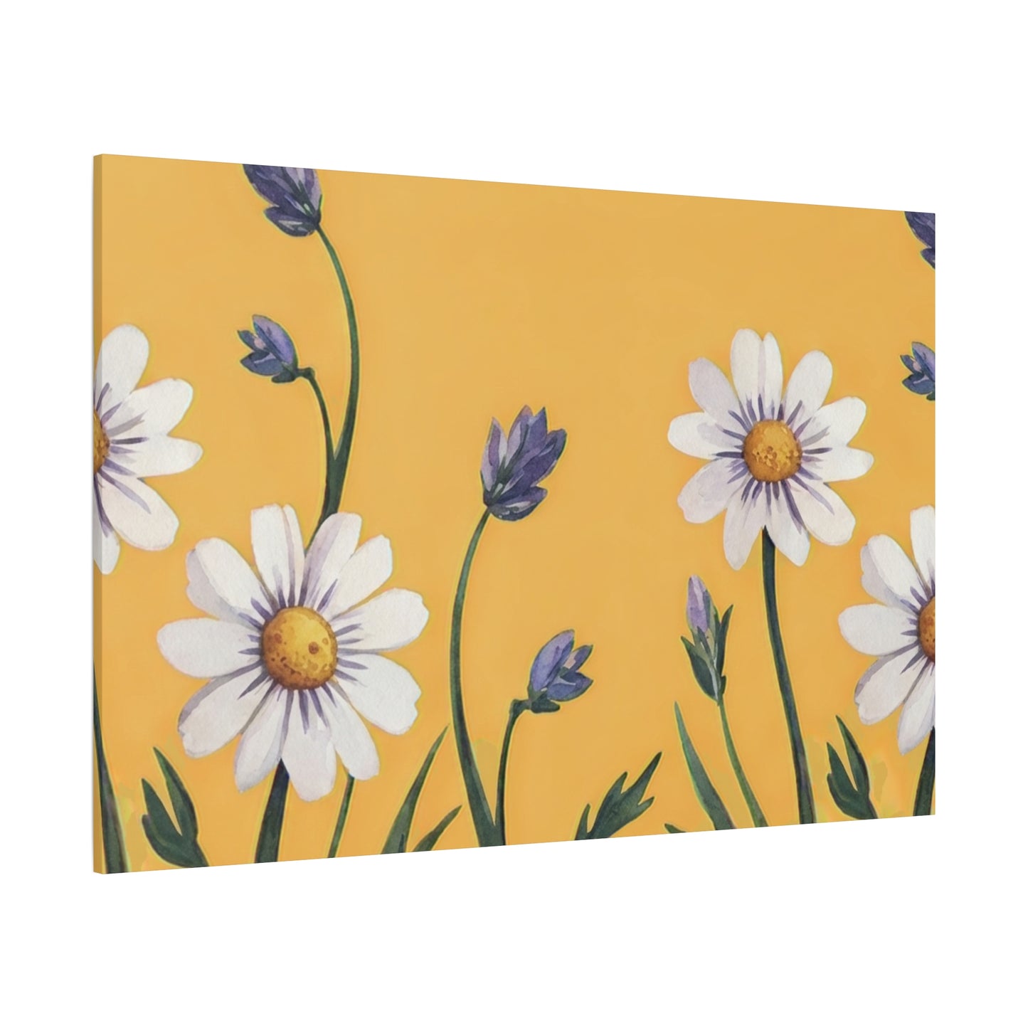 Spring Daisies Stretched Canvas Wall Art