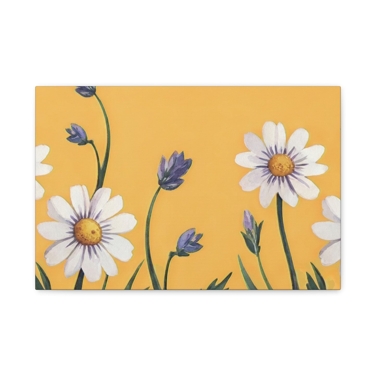 Spring Daisies Stretched Canvas Wall Art