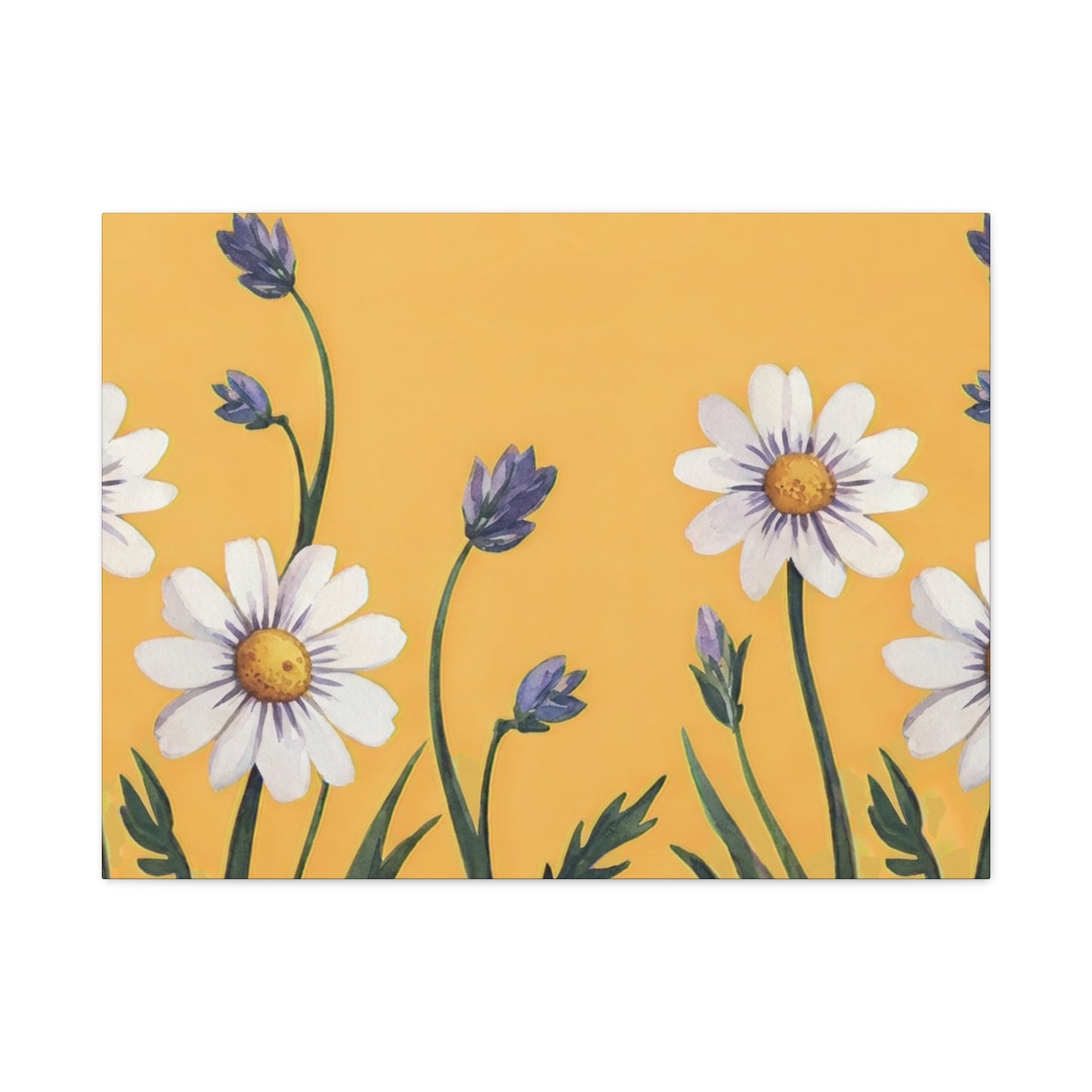 Spring Daisies Stretched Canvas Wall Art