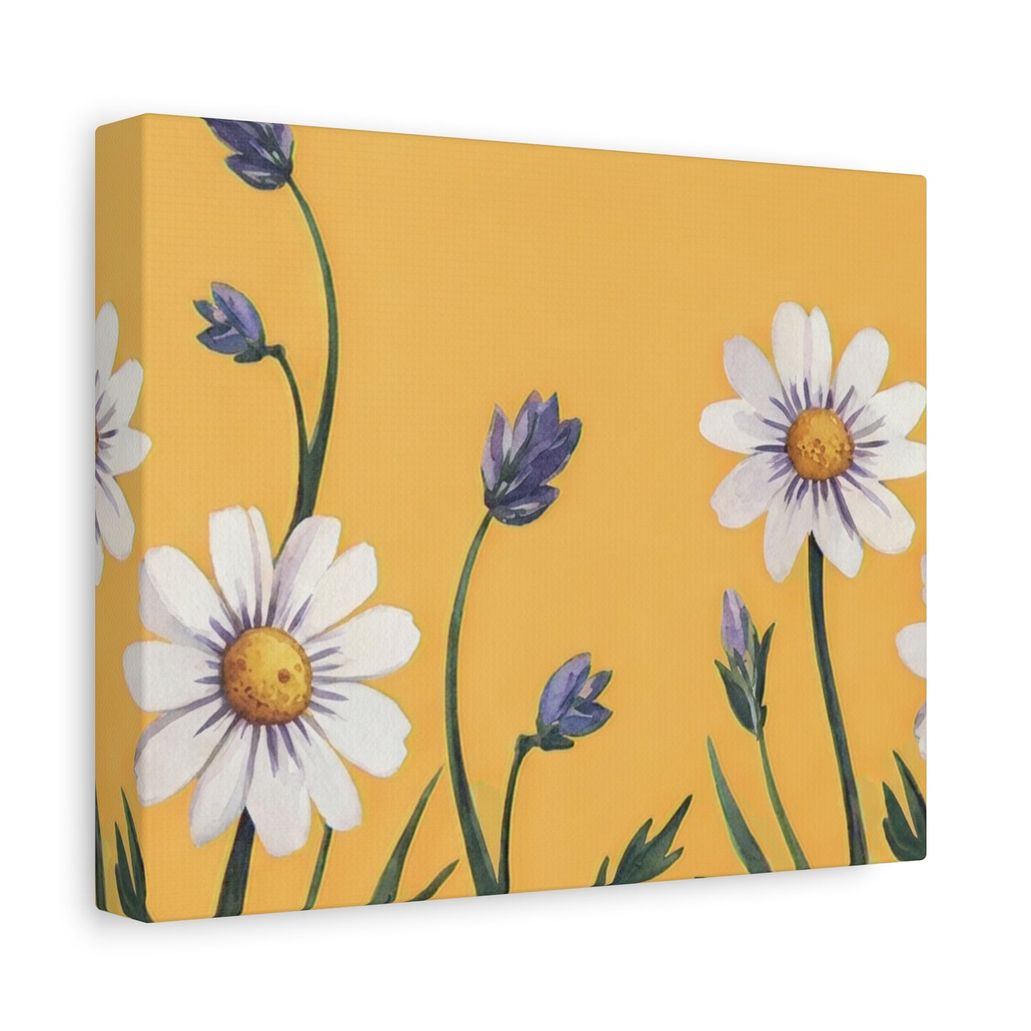 Spring Daisies Stretched Canvas Wall Art