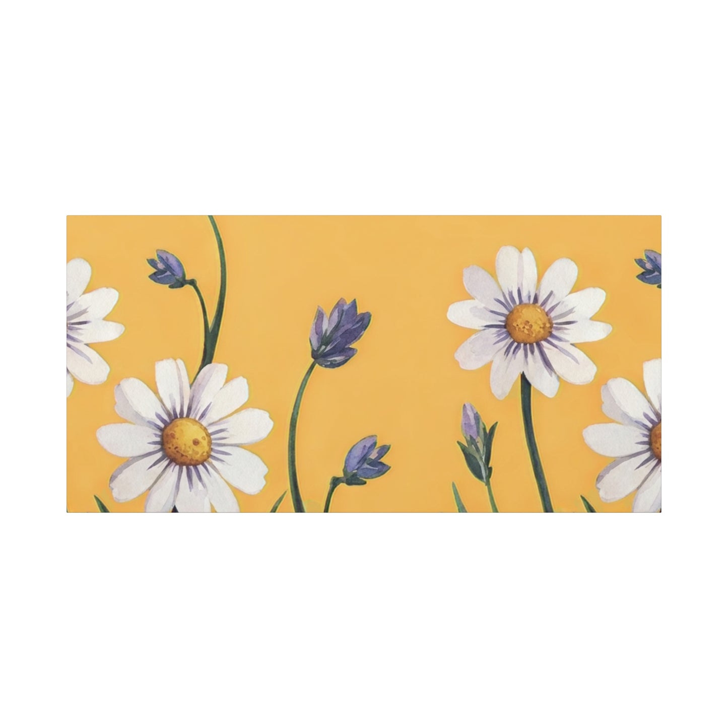 Spring Daisies Stretched Canvas Wall Art