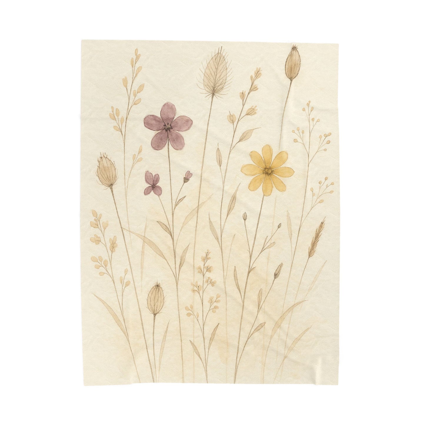 Velveteen Plush Blanket