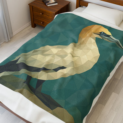 Velveteen Plush Blanket