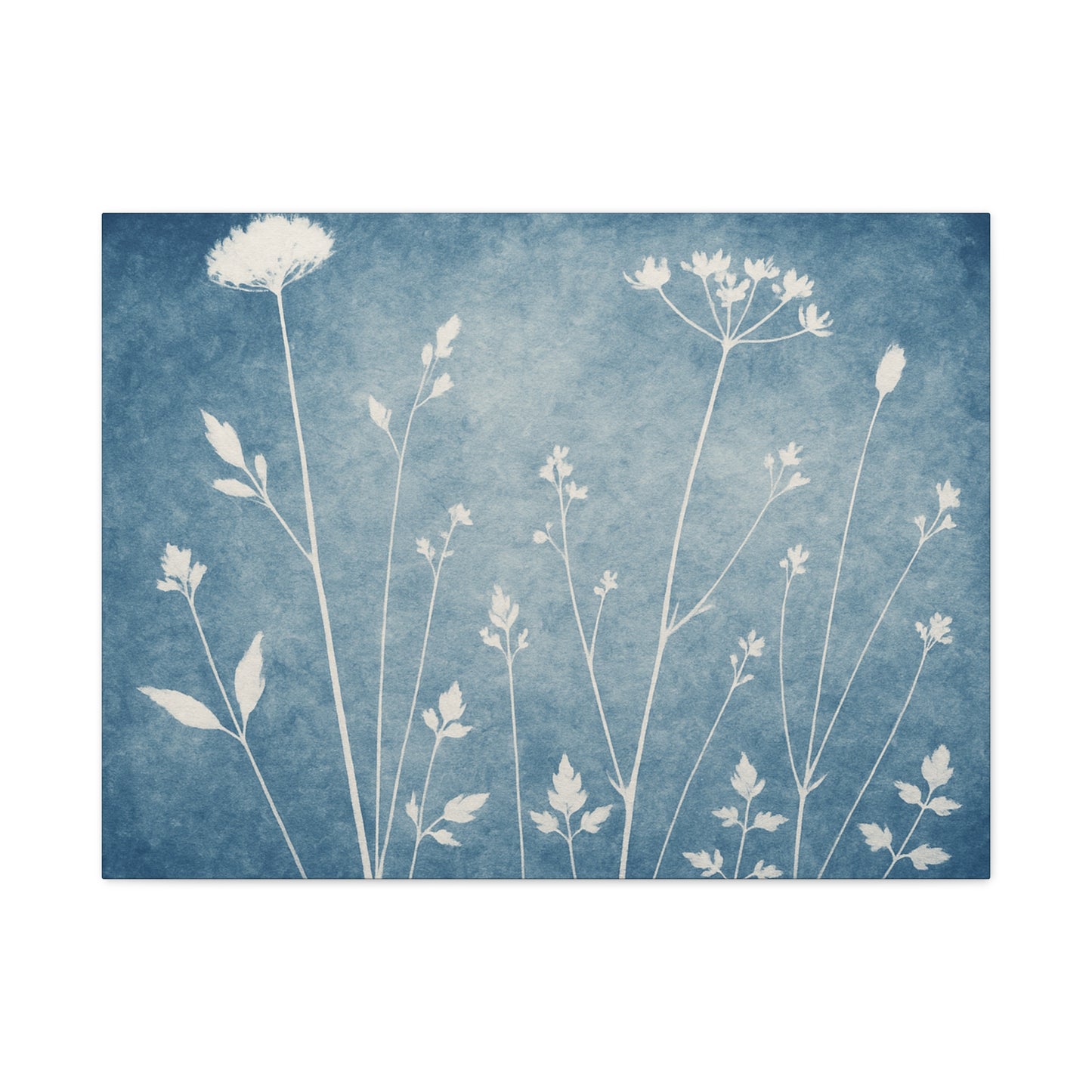 Stretched Canvas Wall Art