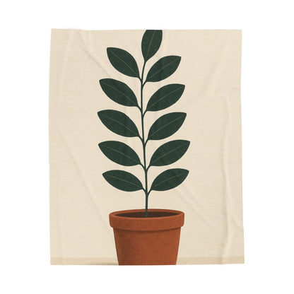 Velveteen Plush Blanket