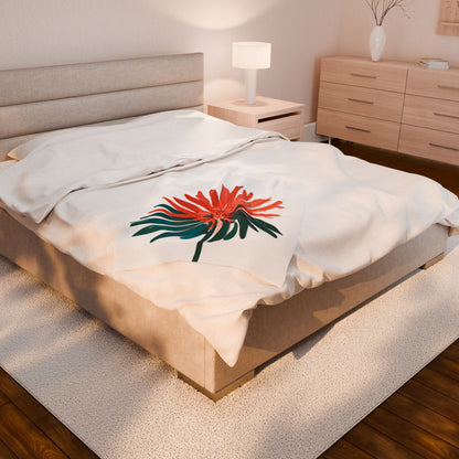 Velveteen Plush Blanket