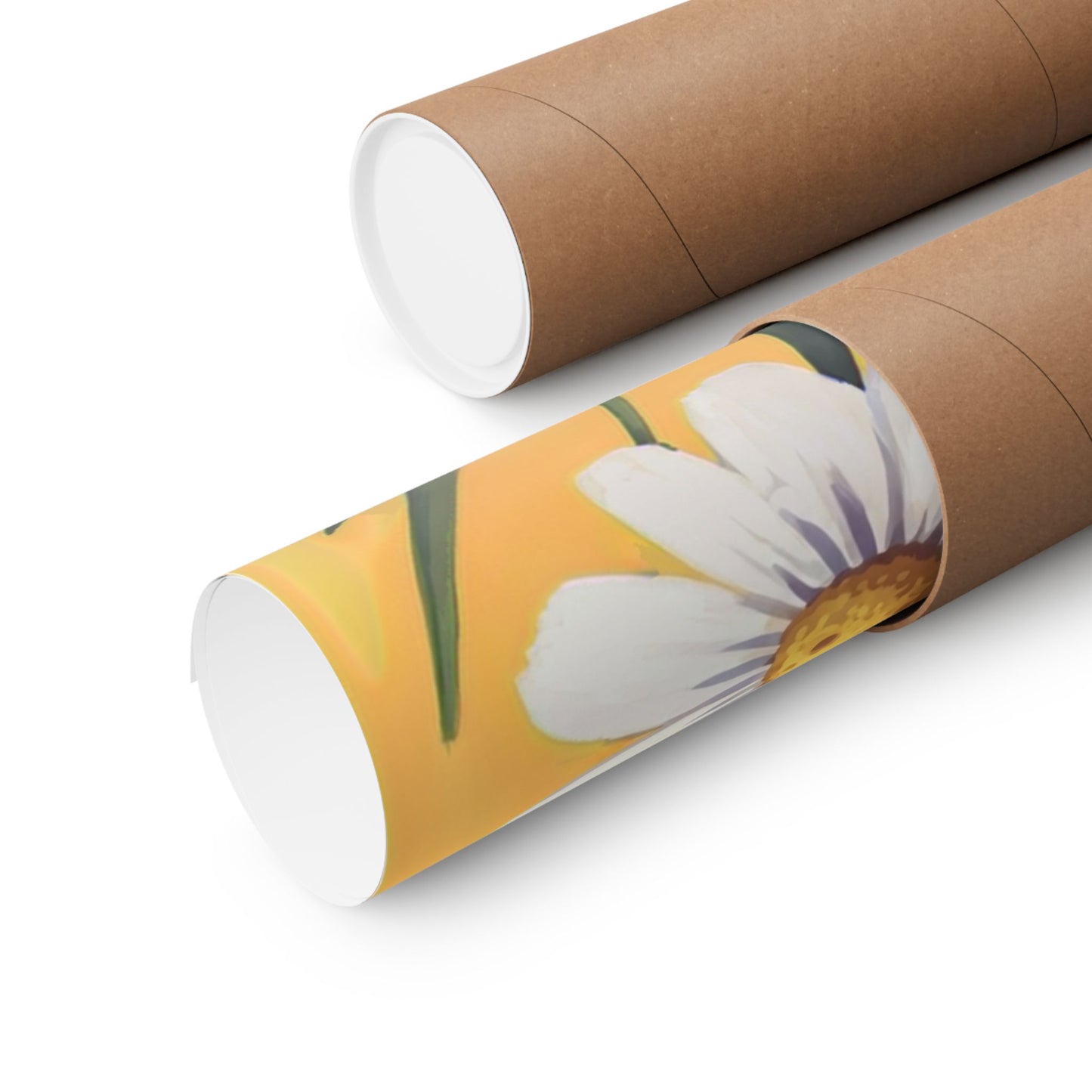 Spring Daisies Art Poster