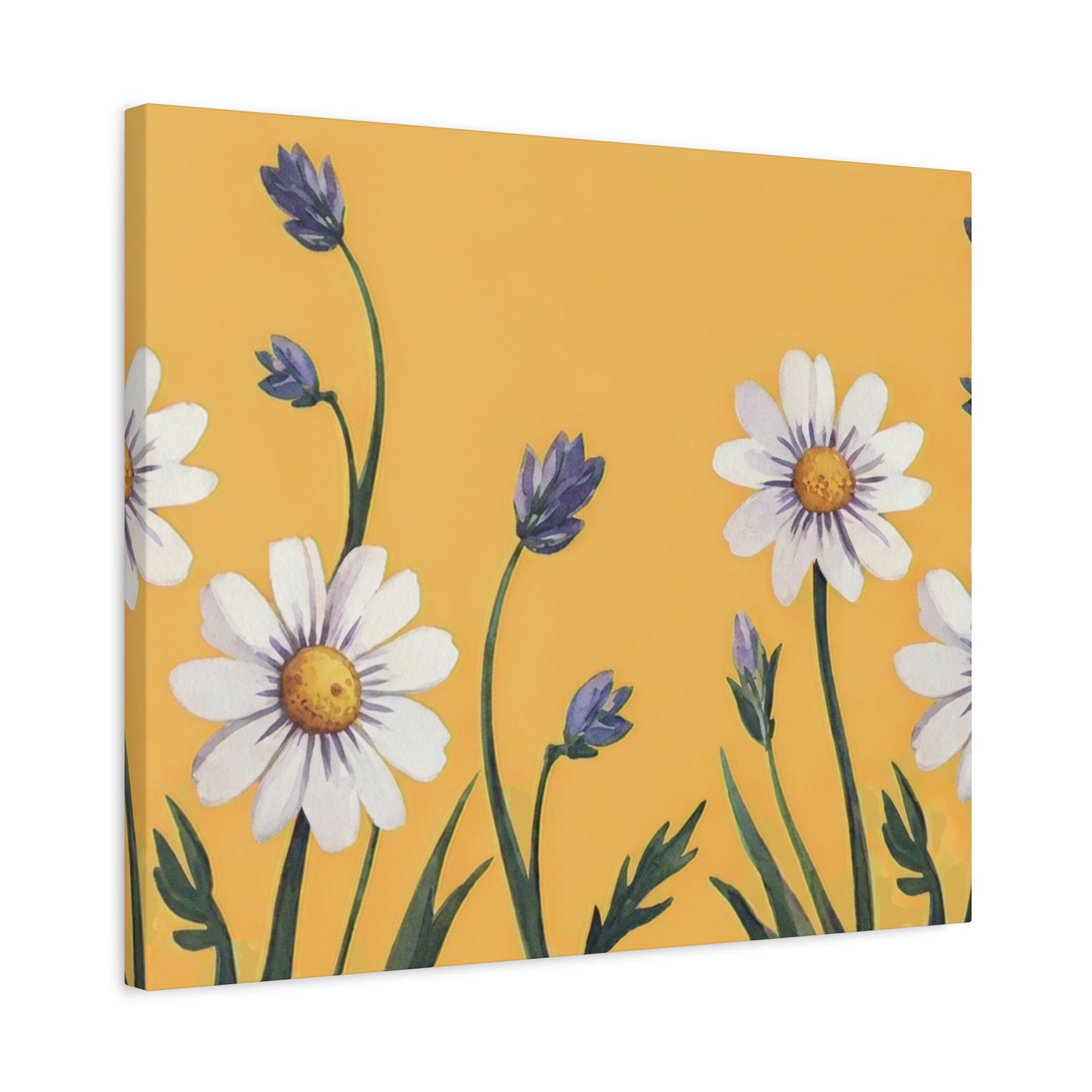 Spring Daisies Stretched Canvas Wall Art