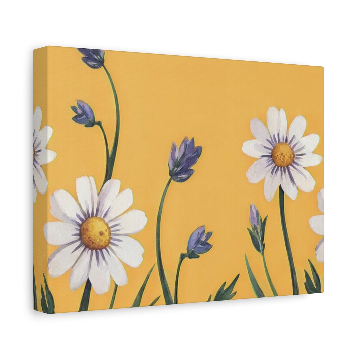 Spring Daisies Stretched Canvas Wall Art