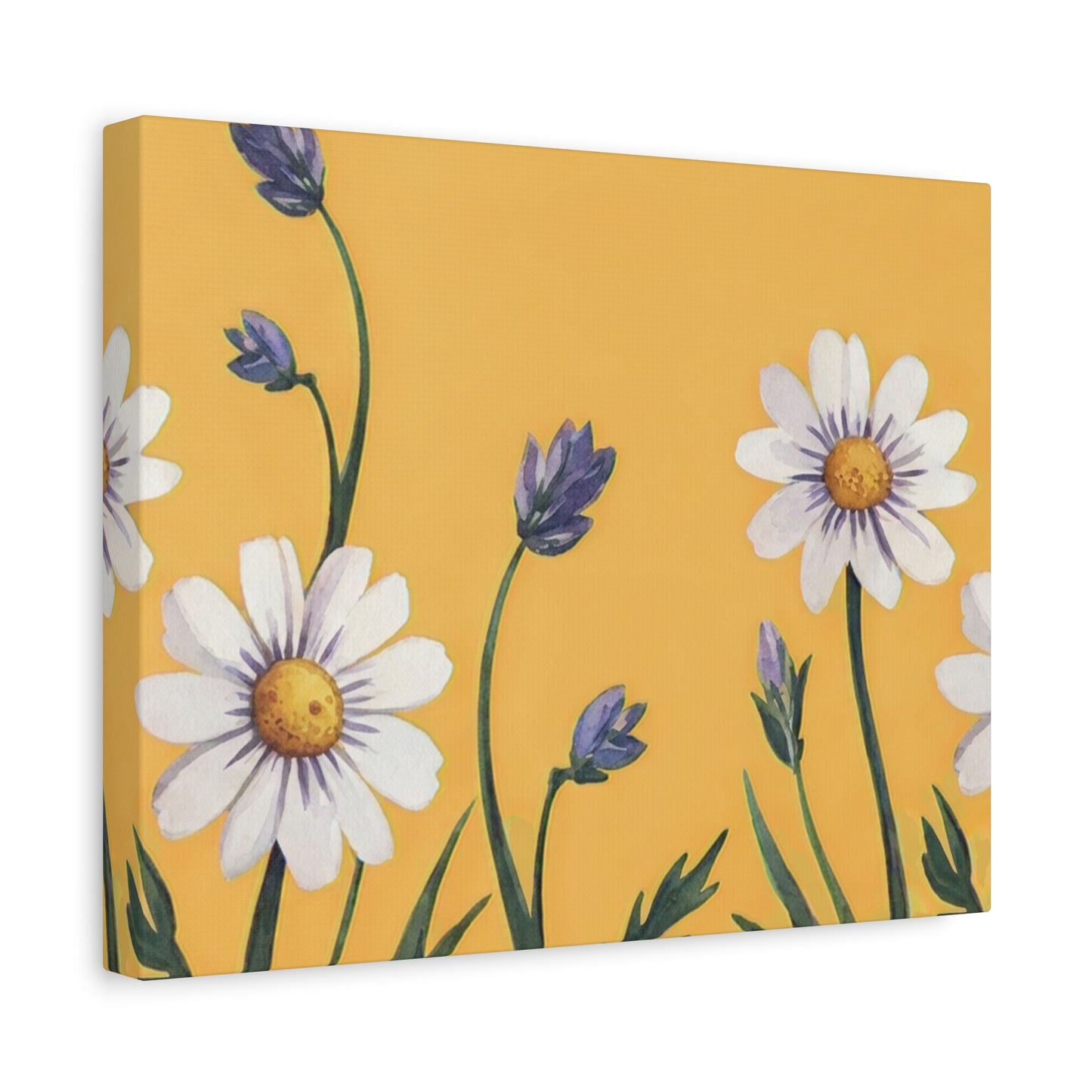 Spring Daisies Stretched Canvas Wall Art