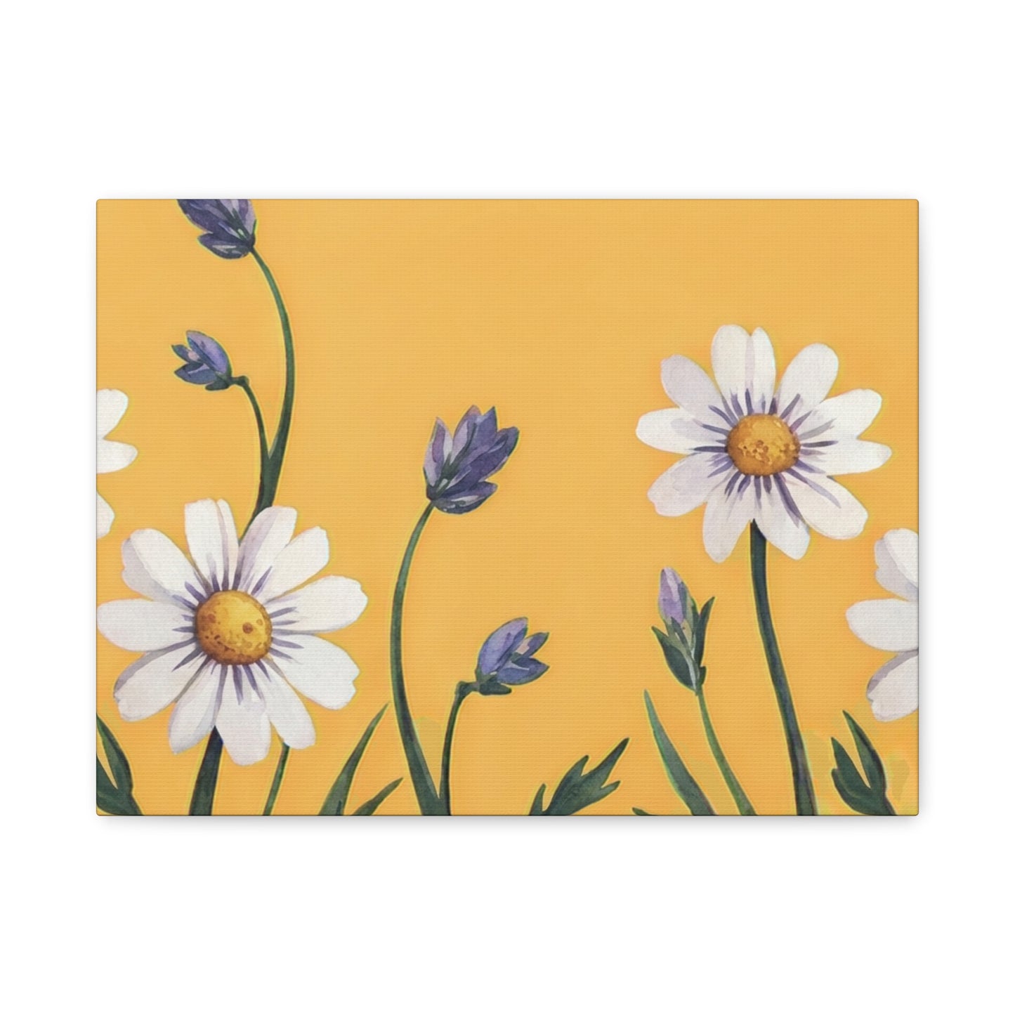 Spring Daisies Stretched Canvas Wall Art
