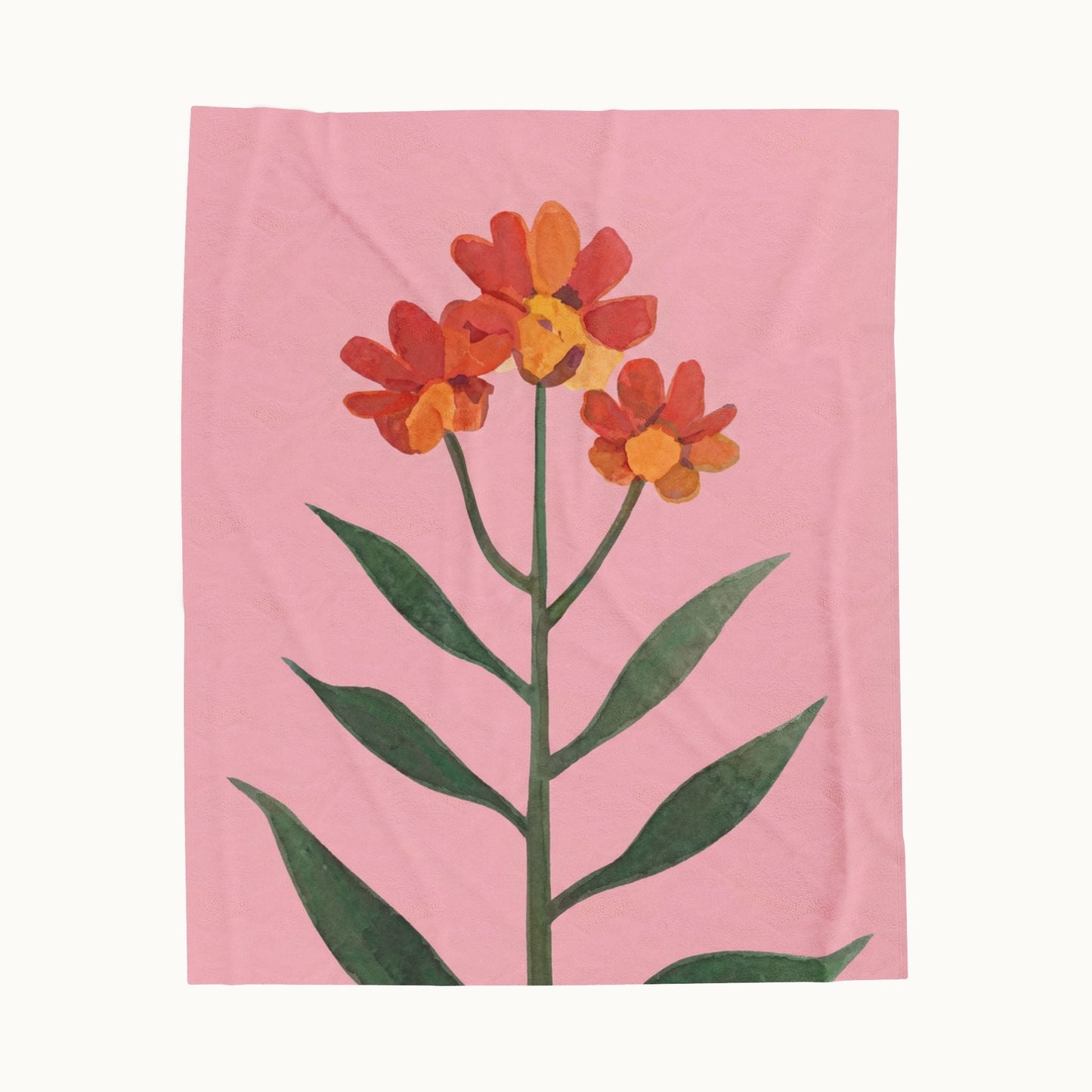 Velveteen Plush Blanket