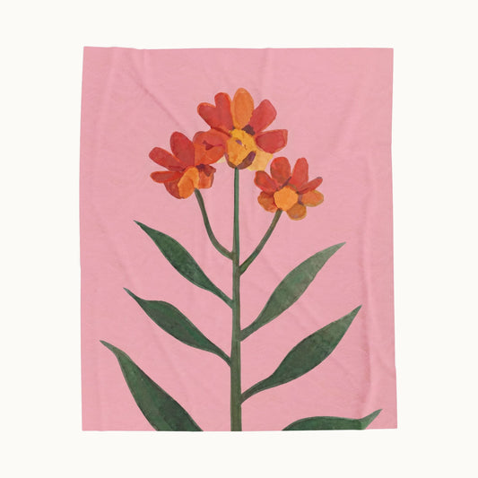 Velveteen Plush Blanket