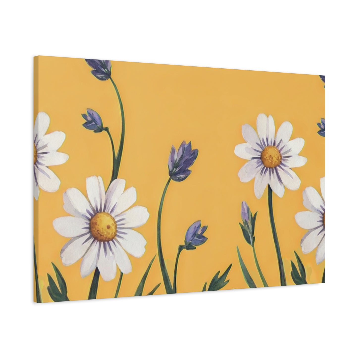 Spring Daisies Stretched Canvas Wall Art