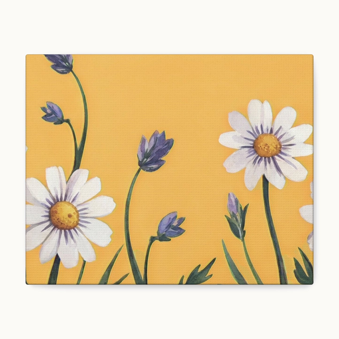 Spring Daisies Stretched Canvas Wall Art