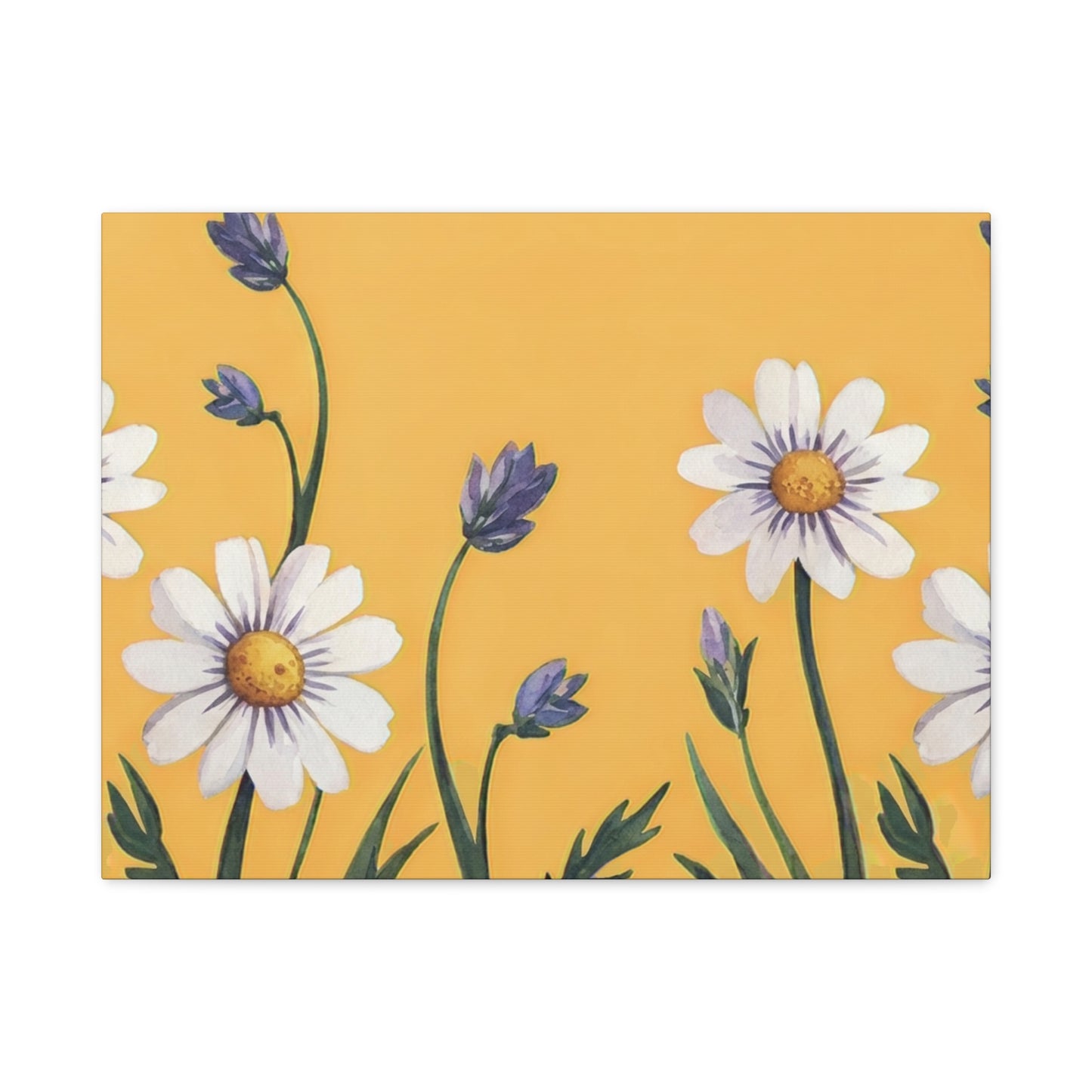 Spring Daisies Stretched Canvas Wall Art