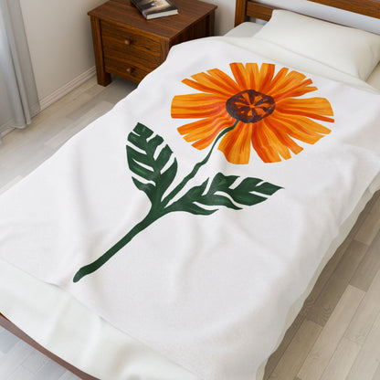 Velveteen Plush Blanket