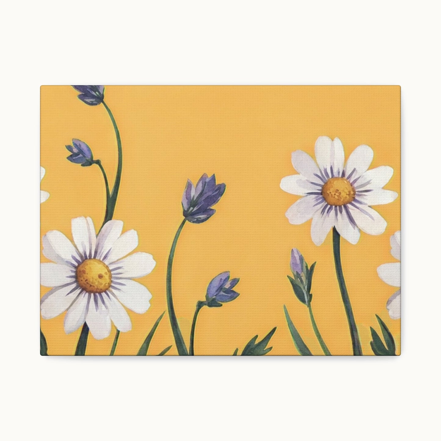 Spring Daisies Stretched Canvas Wall Art